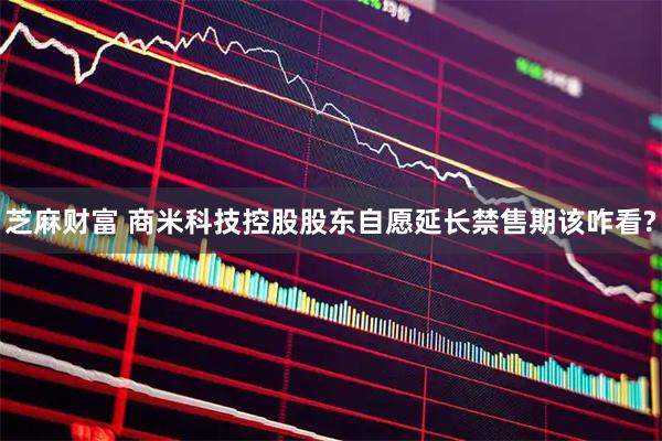 芝麻财富 商米科技控股股东自愿延长禁售期该咋看?